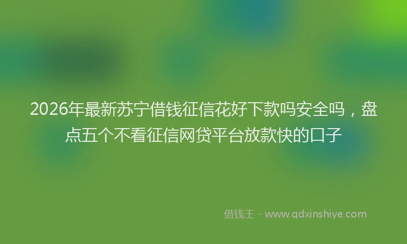 2026年最新苏宁借钱征信花好下款吗安全吗，盘点五个不看征信网贷平台放款快的口子