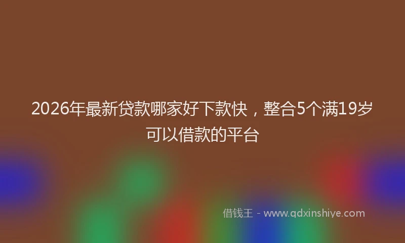 2026年最新贷款哪家好下款快，整合5个满19岁可以借款的平台