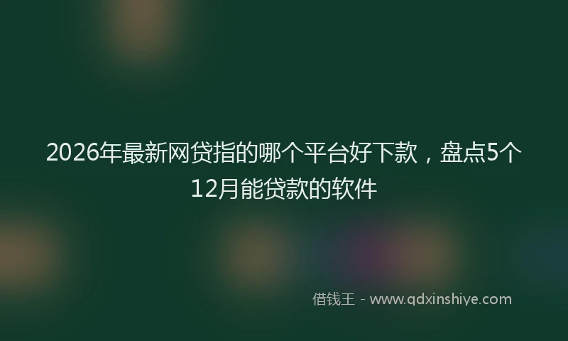 2026年最新网贷指的哪个平台好下款，盘点5个12月能贷款的软件