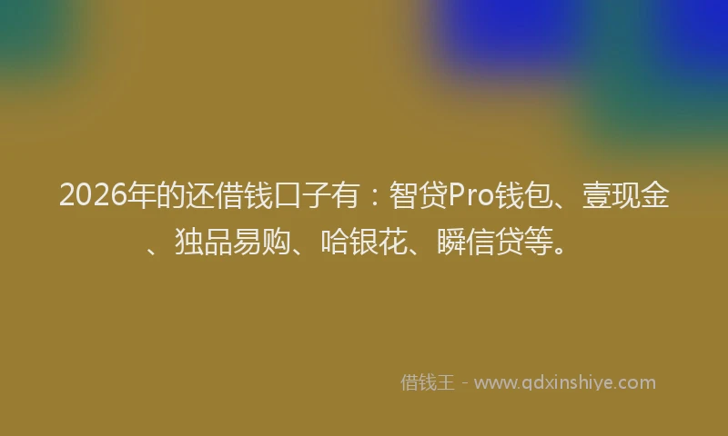 2026年的还借钱口子有：智贷Pro钱包、壹现金、独品易购、哈银花、瞬信贷等。