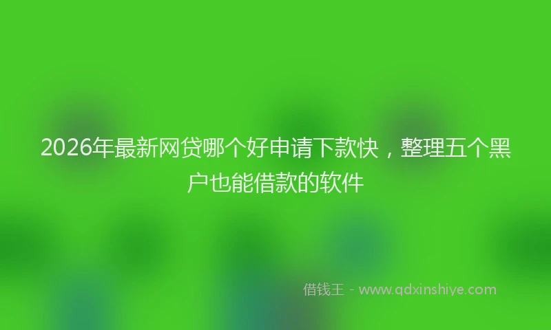 2026年最新网贷哪个好申请下款快，整理五个黑户也能借款的软件