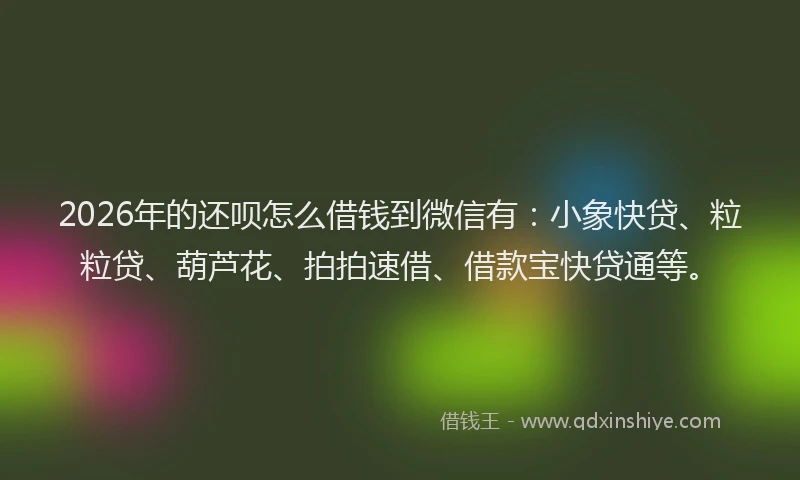 2026年的还呗怎么借钱到微信有：小象快贷、粒粒贷、葫芦花、拍拍速借、借款宝快贷通等。