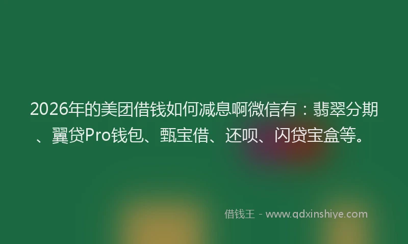 2026年的美团借钱如何减息啊微信有：翡翠分期、翼贷Pro钱包、甄宝借、还呗、闪贷宝盒等。