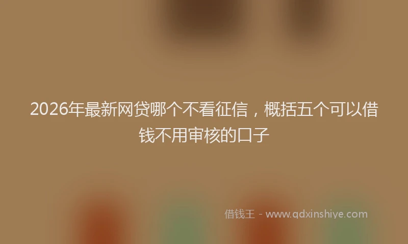 2026年最新网贷哪个不看征信，概括五个可以借钱不用审核的口子