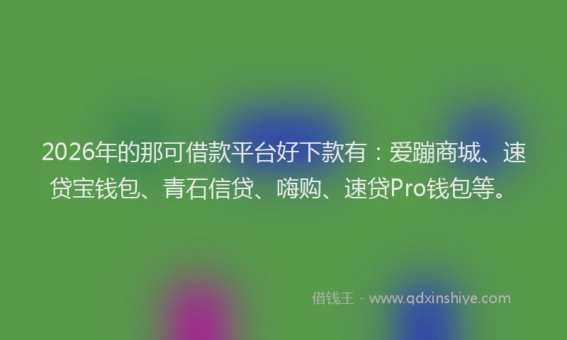 2026年的那可借款平台好下款有：爱蹦商城、速贷宝钱包、青石信贷、嗨购、速贷Pro钱包等。