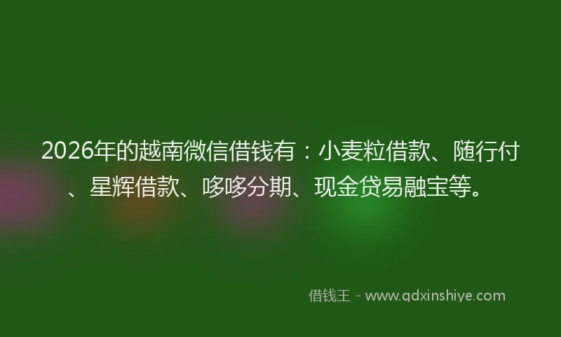 2026年的越南微信借钱有：小麦粒借款、随行付、星辉借款、哆哆分期、现金贷易融宝等。