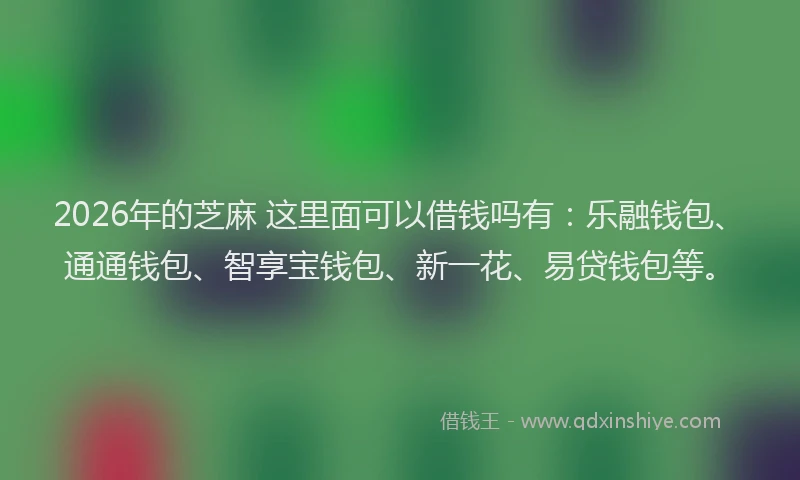 2026年的芝麻 这里面可以借钱吗有：乐融钱包、通通钱包、智享宝钱包、新一花、易贷钱包等。