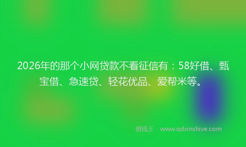 2026年的那个小网贷款不看征信有：58好借、甄宝借、急速贷、轻花优品、爱帮米等。