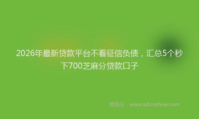 2026年最新贷款平台不看征信负债，汇总5个秒下700芝麻分贷款口子