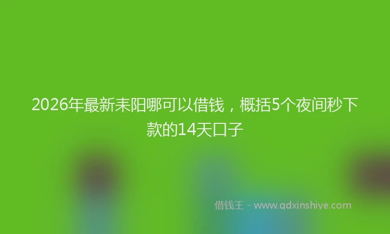 2026年最新耒阳哪可以借钱，概括5个夜间秒下款的14天口子