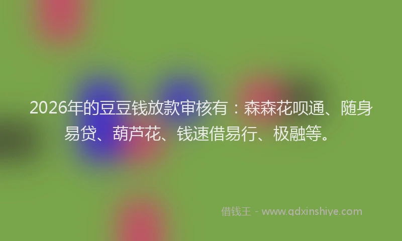 2026年的豆豆钱放款审核有：森森花呗通、随身易贷、葫芦花、钱速借易行、极融等。