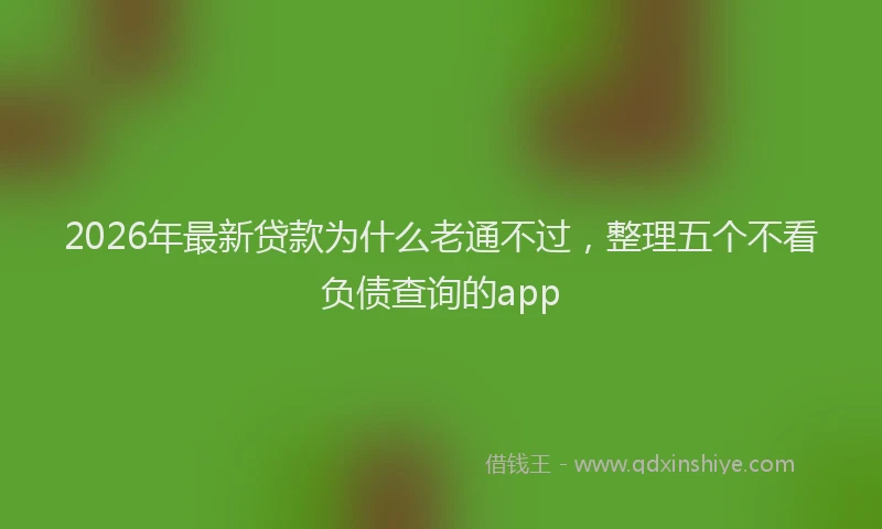 2026年最新贷款为什么老通不过，整理五个不看负债查询的app