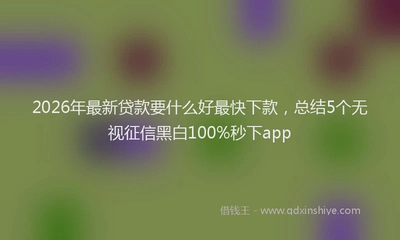 2026年最新贷款要什么好最快下款，总结5个无视征信黑白100%秒下app