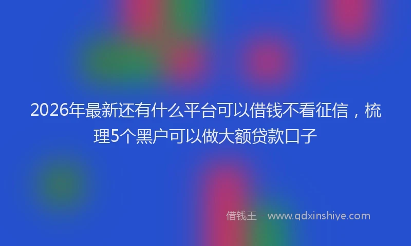 2026年最新还有什么平台可以借钱不看征信，梳理5个黑户可以做大额贷款口子