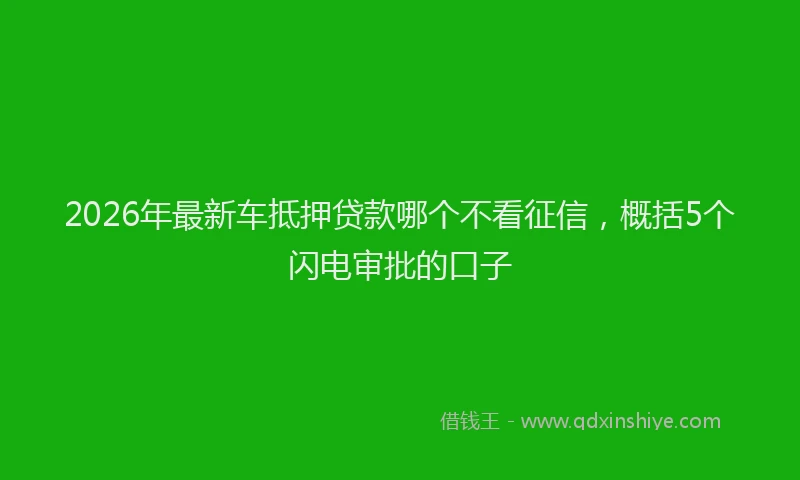 2026年最新车抵押贷款哪个不看征信，概括5个闪电审批的口子