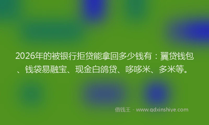 2026年的被银行拒贷能拿回多少钱有：翼贷钱包、钱袋易融宝、现金白鸽贷、哆哆米、多米等。