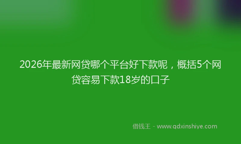 2026年最新网贷哪个平台好下款呢，概括5个网贷容易下款18岁的口子