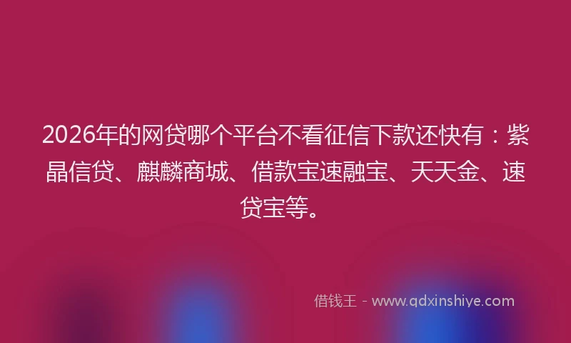 2026年的网贷哪个平台不看征信下款还快有：紫晶信贷、麒麟商城、借款宝速融宝、天天金、速贷宝等。