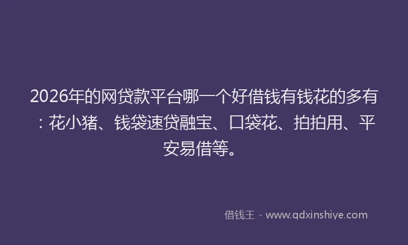 2026年的网贷款平台哪一个好借钱有钱花的多有：花小猪、钱袋速贷融宝、口袋花、拍拍用、平安易借等。