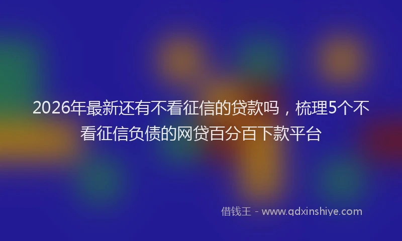 2026年最新还有不看征信的贷款吗，梳理5个不看征信负债的网贷百分百下款平台