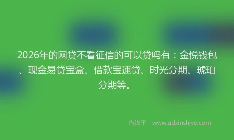 2026年的网贷不看征信的可以贷吗有：金悦钱包、现金易贷宝盒、借款宝速贷、时光分期、琥珀分期等。