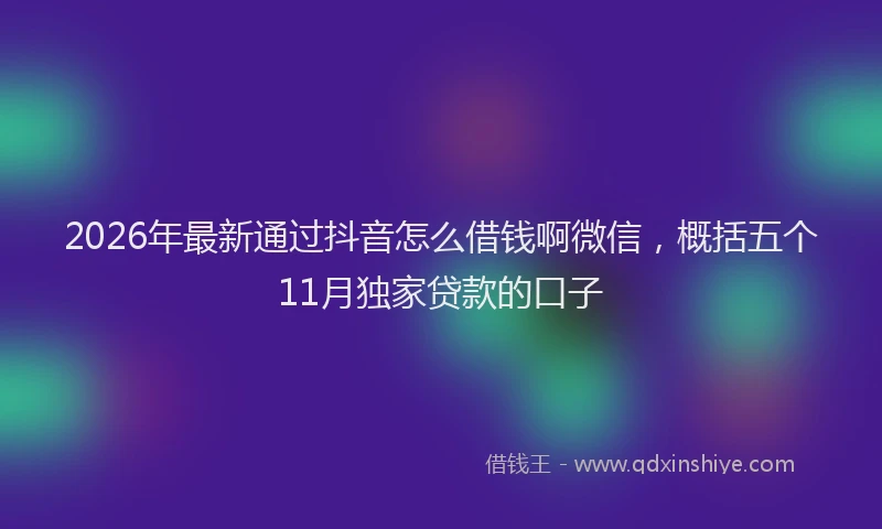 2026年最新通过抖音怎么借钱啊微信，概括五个11月独家贷款的口子