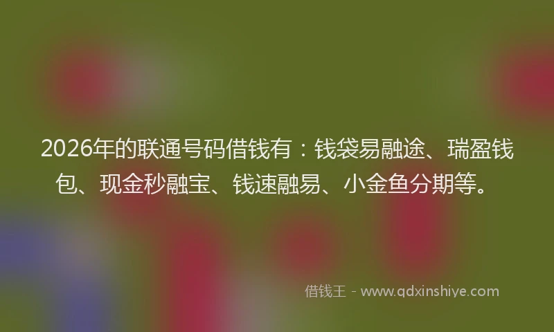 2026年的联通号码借钱有：钱袋易融途、瑞盈钱包、现金秒融宝、钱速融易、小金鱼分期等。