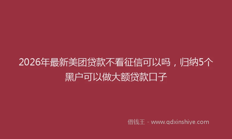 2026年最新美团贷款不看征信可以吗，归纳5个黑户可以做大额贷款口子