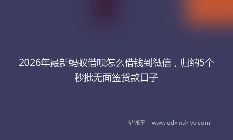 2026年最新蚂蚁借呗怎么借钱到微信，归纳5个秒批无面签贷款口子