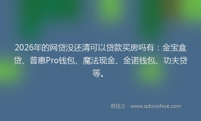 2026年的网贷没还清可以贷款买房吗有：金宝盒贷、普惠Pro钱包、魔法现金、金诺钱包、功夫贷等。