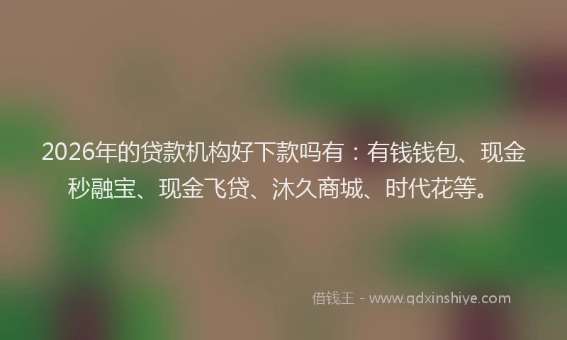 2026年的贷款机构好下款吗有：有钱钱包、现金秒融宝、现金飞贷、沐久商城、时代花等。