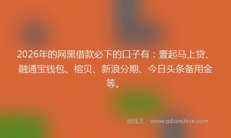 2026年的网黑借款必下的口子有：壹起马上贷、融通宝钱包、榕贝、新浪分期、今日头条备用金等。