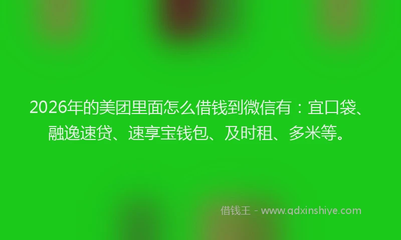 2026年的美团里面怎么借钱到微信有：宜口袋、融逸速贷、速享宝钱包、及时租、多米等。