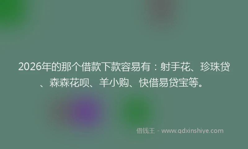 2026年的那个借款下款容易有：射手花、珍珠贷、森森花呗、羊小购、快借易贷宝等。