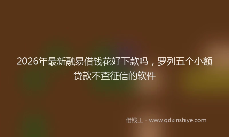 2026年最新融易借钱花好下款吗，罗列五个小额贷款不查征信的软件