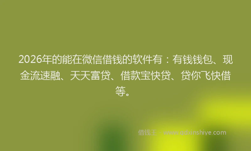 2026年的能在微信借钱的软件有：有钱钱包、现金流速融、天天富贷、借款宝快贷、贷你飞快借等。