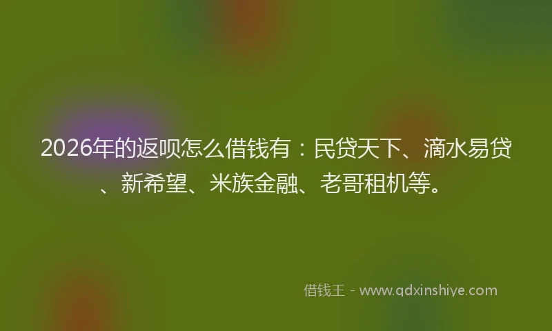 2026年的返呗怎么借钱有：民贷天下、滴水易贷、新希望、米族金融、老哥租机等。