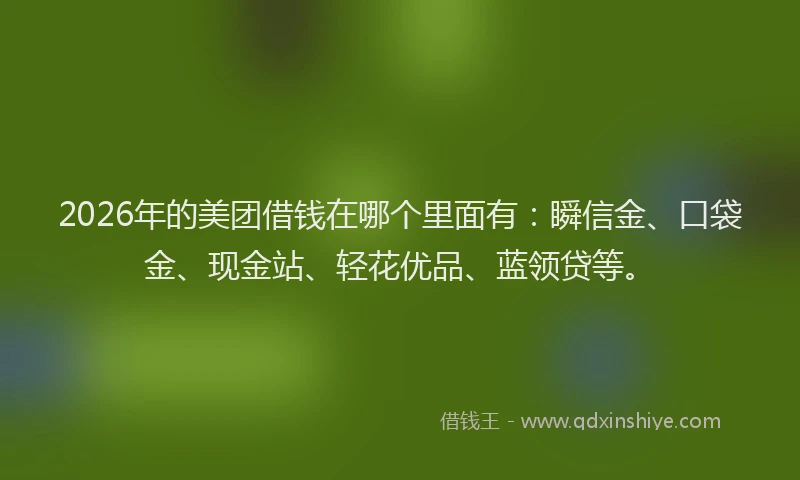 2026年的美团借钱在哪个里面有：瞬信金、口袋金、现金站、轻花优品、蓝领贷等。