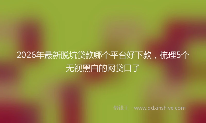 2026年最新脱坑贷款哪个平台好下款，梳理5个无视黑白的网贷口子