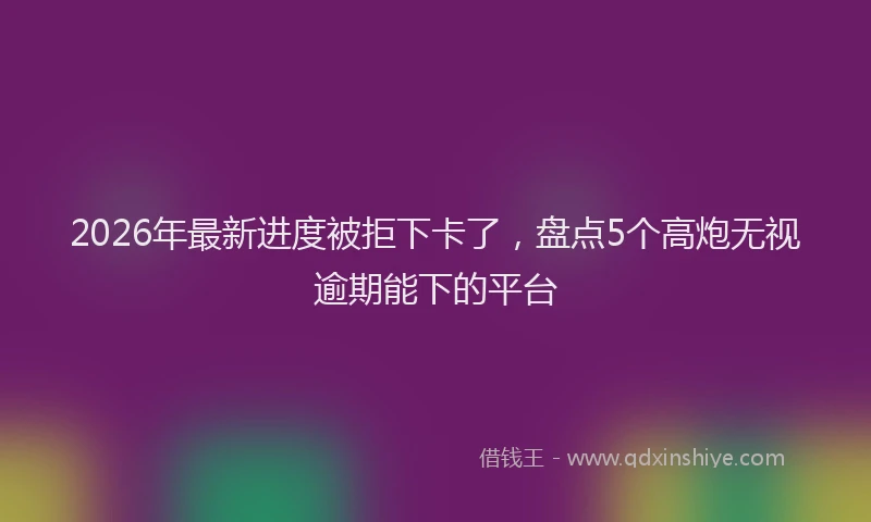 2026年最新进度被拒下卡了，盘点5个高炮无视逾期能下的平台