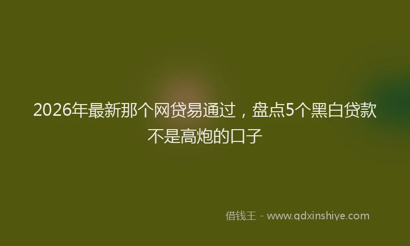 2026年最新那个网贷易通过，盘点5个黑白贷款不是高炮的口子