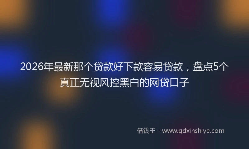 2026年最新那个贷款好下款容易贷款，盘点5个真正无视风控黑白的网贷口子