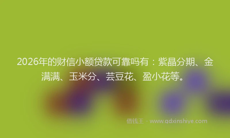 2026年的财信小额贷款可靠吗有：紫晶分期、金满满、玉米分、芸豆花、盈小花等。