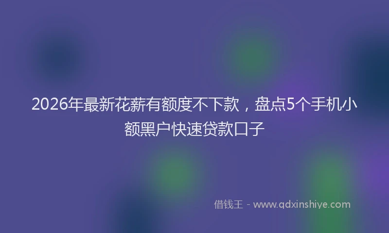 2026年最新花薪有额度不下款，盘点5个手机小额黑户快速贷款口子