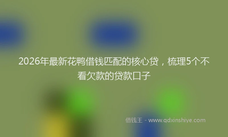 2026年最新花鸭借钱匹配的核心贷，梳理5个不看欠款的贷款口子