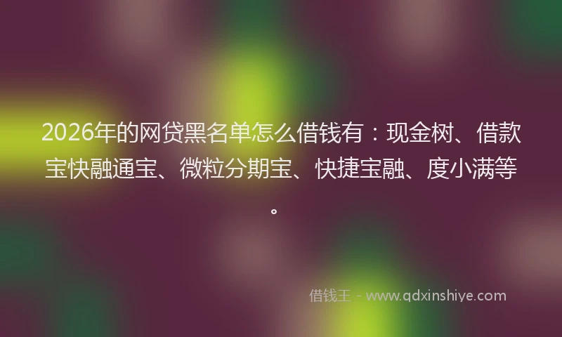 2026年的网贷黑名单怎么借钱有：现金树、借款宝快融通宝、微粒分期宝、快捷宝融、度小满等。