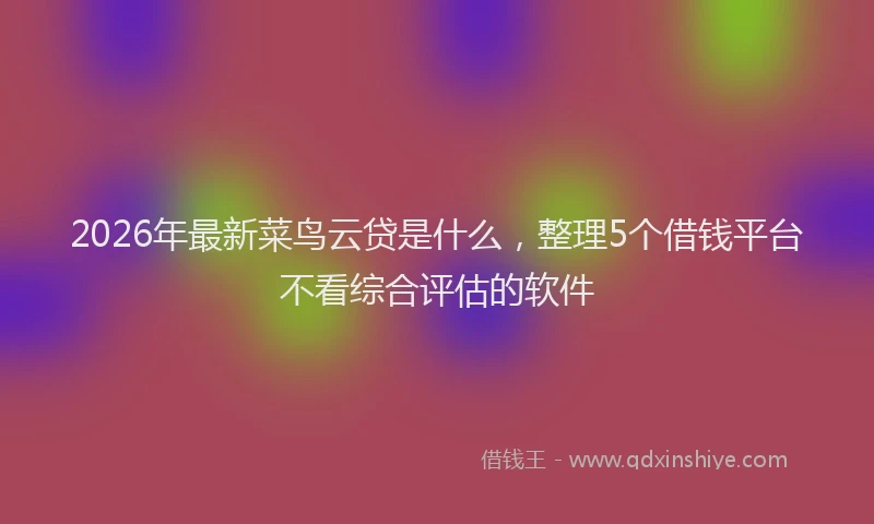 2026年最新菜鸟云贷是什么，整理5个借钱平台不看综合评估的软件