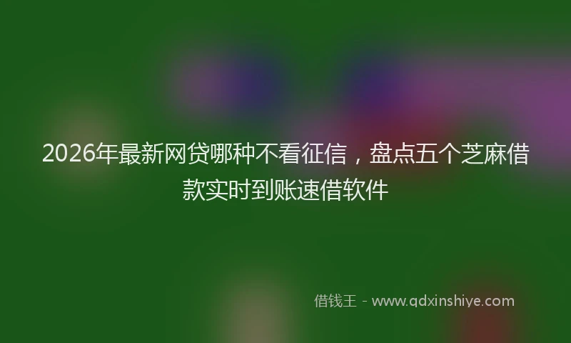 2026年最新网贷哪种不看征信，盘点五个芝麻借款实时到账速借软件