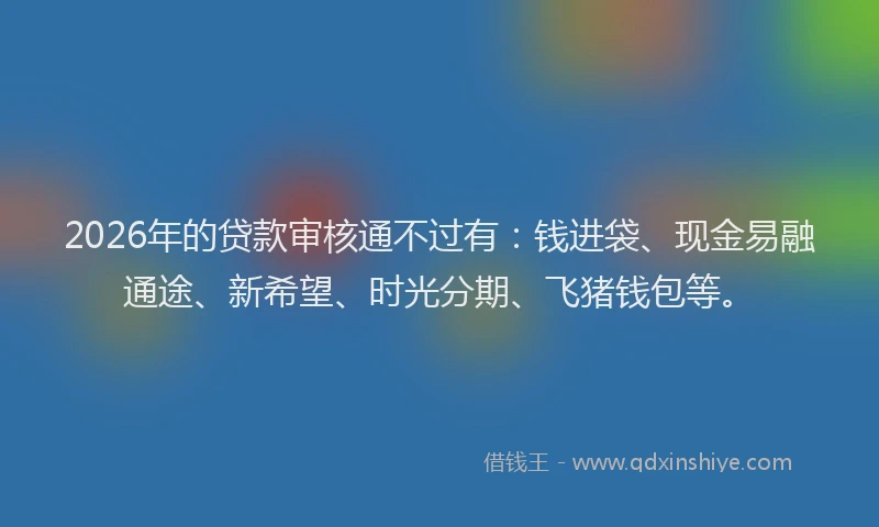 2026年的贷款审核通不过有：钱进袋、现金易融通途、新希望、时光分期、飞猪钱包等。