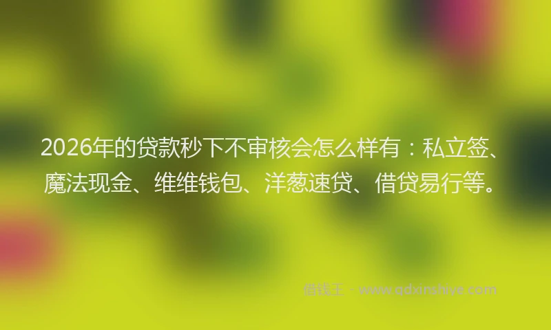 2026年的贷款秒下不审核会怎么样有：私立签、魔法现金、维维钱包、洋葱速贷、借贷易行等。